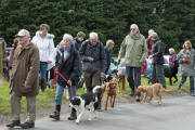 Charity Dog Walk