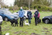 Charity Dog Walk