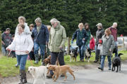 Charity Dog Walk