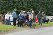 Charity Dog Walk