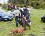 Charity Dog Walk