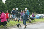 Charity Dog Walk