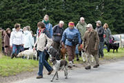 Charity Dog Walk