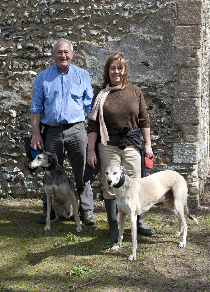 A lovely pair of Greyhounds