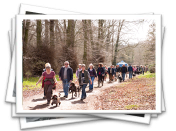 Sponsored Dog Walk 2013