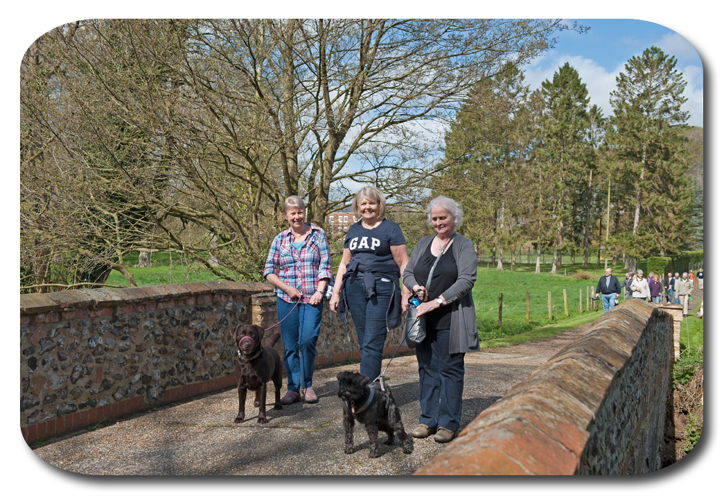 Three Happy Walkers