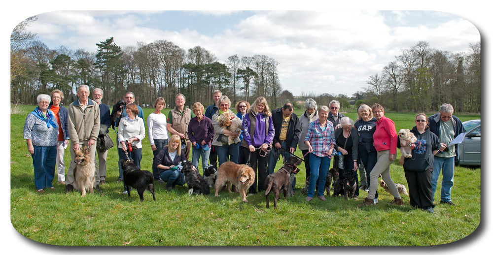 A Group of Happy Walkers